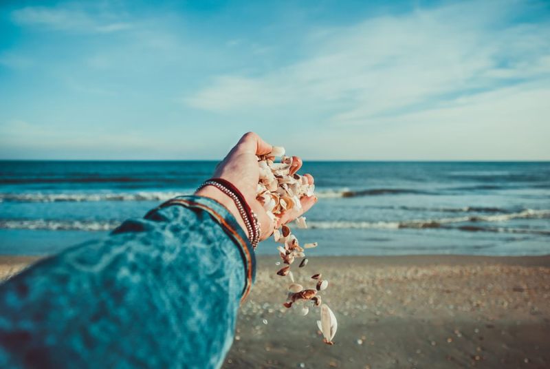 Hand reaching out to ocean holding shells